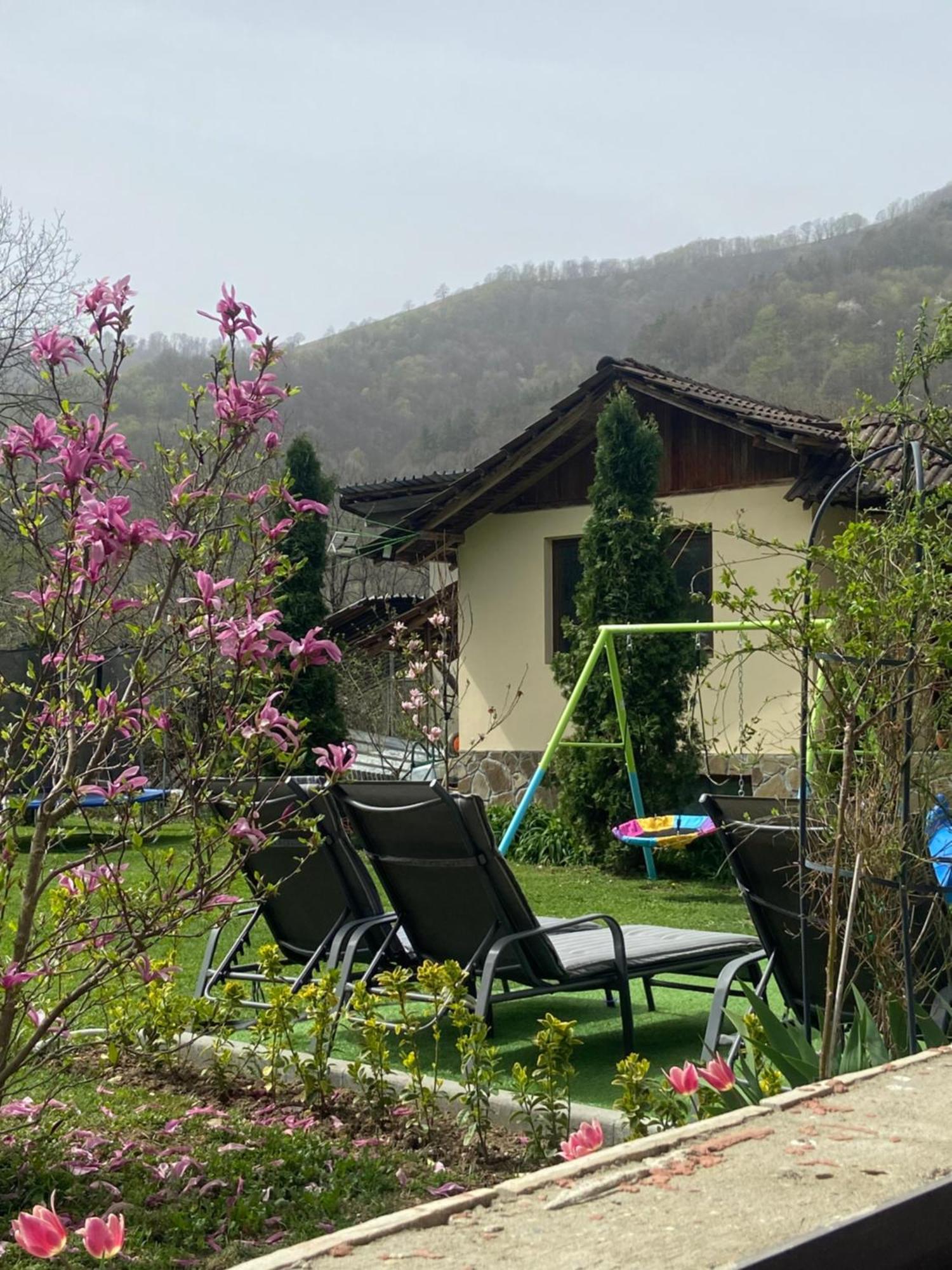 Guest House Rest Cherni Osum Εξωτερικό φωτογραφία
